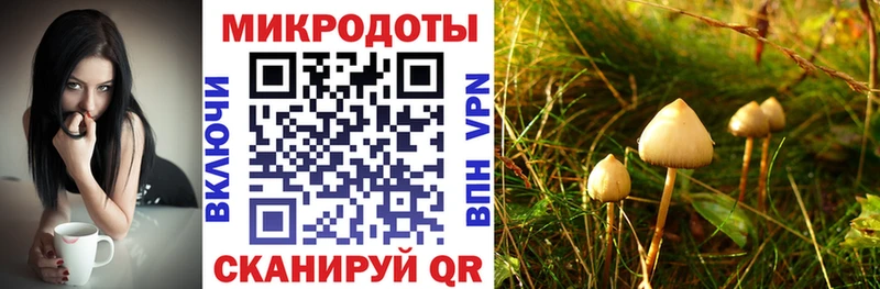 Галлюциногенные грибы GOLDEN TEACHER  закладка  Кедровый 